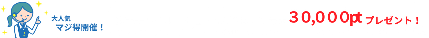 おすすめポイント
