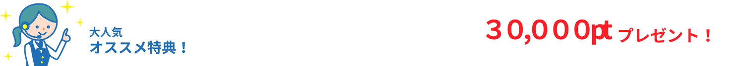 おすすめポイント