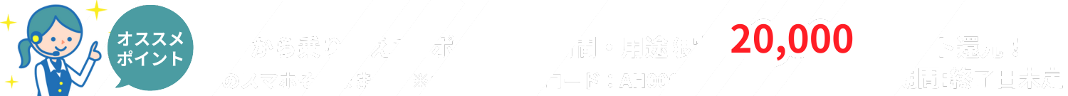 おすすめポイント